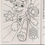 Paw Patrol Coloring Books 2 Pack for Kids Fun Activity - vue 5