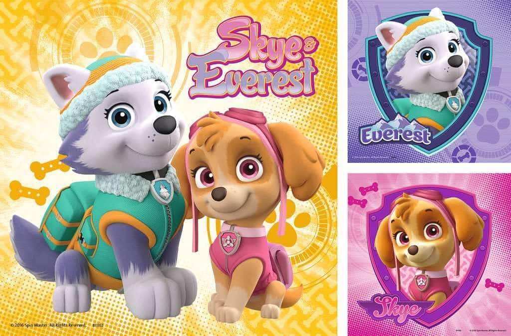 amazon-6a1adc0938f13 Paw Patrol Skye & Everest 49 Piece Jigsaw Puzzles, Set of 3 - vue 3
