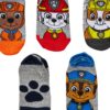 Paw Patrol Boys 5 Pack No Show Socks - vue 3