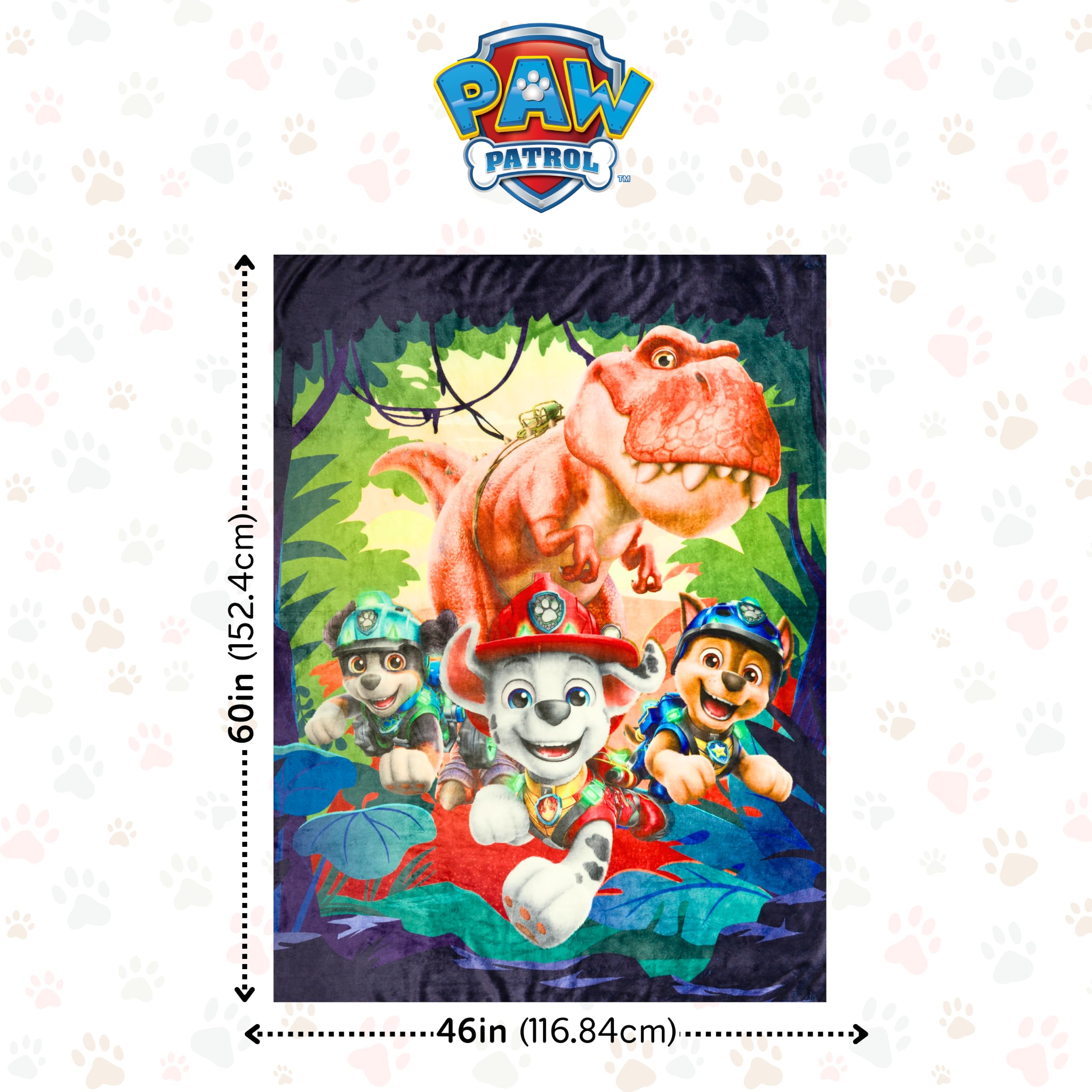 Throw Blanket Paw Patrol Dino Movie Silk Touch Plush, 60 x 46 in