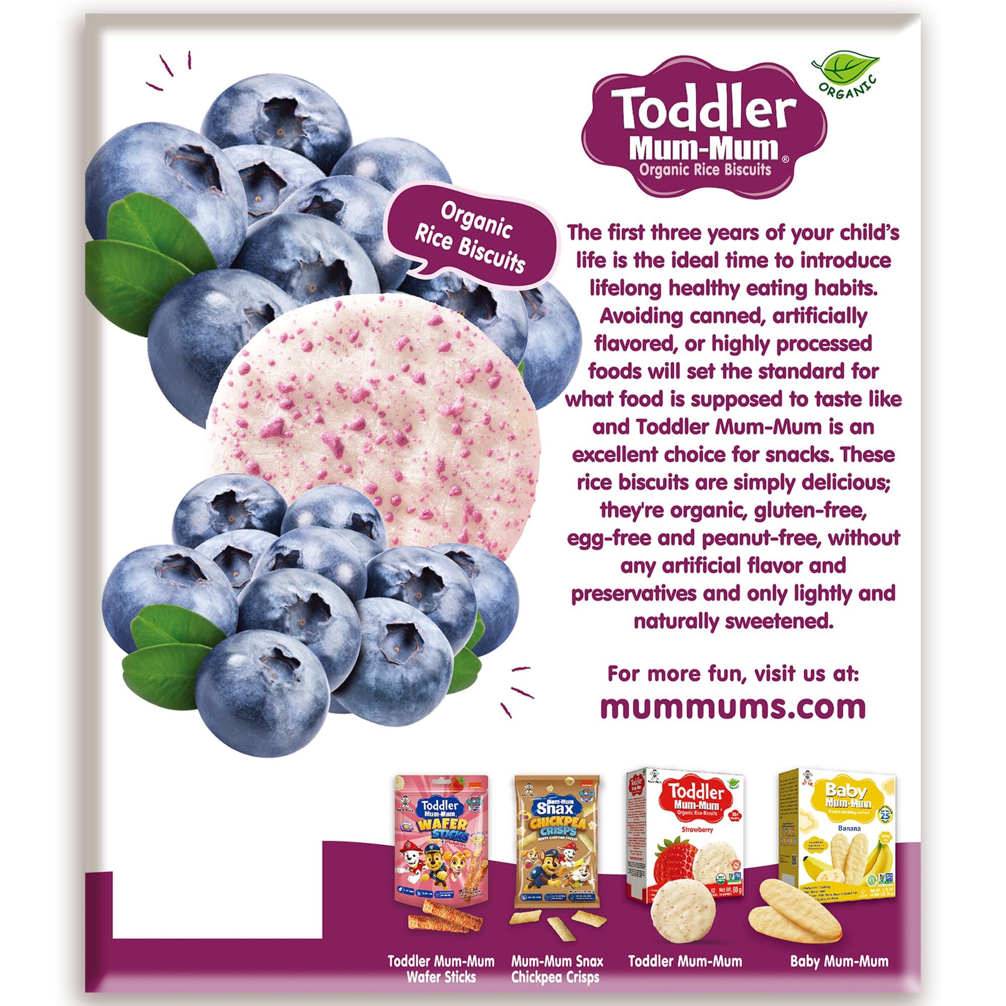Toddler Rice Biscuits Paw Patrol Blueberry, 24 Count Pack of 6